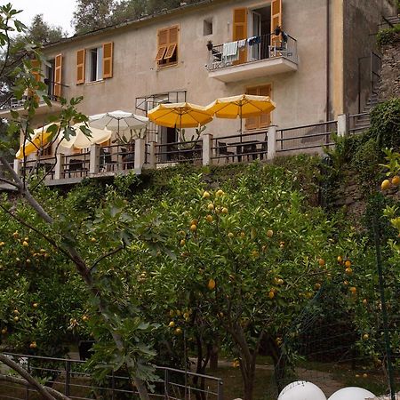 Hotel La Casa Dei Limoni à Monterosso al Mare Extérieur photo