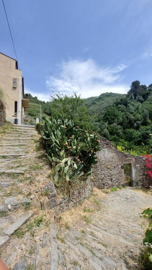 Hotel La Casa Dei Limoni à Monterosso al Mare Extérieur photo